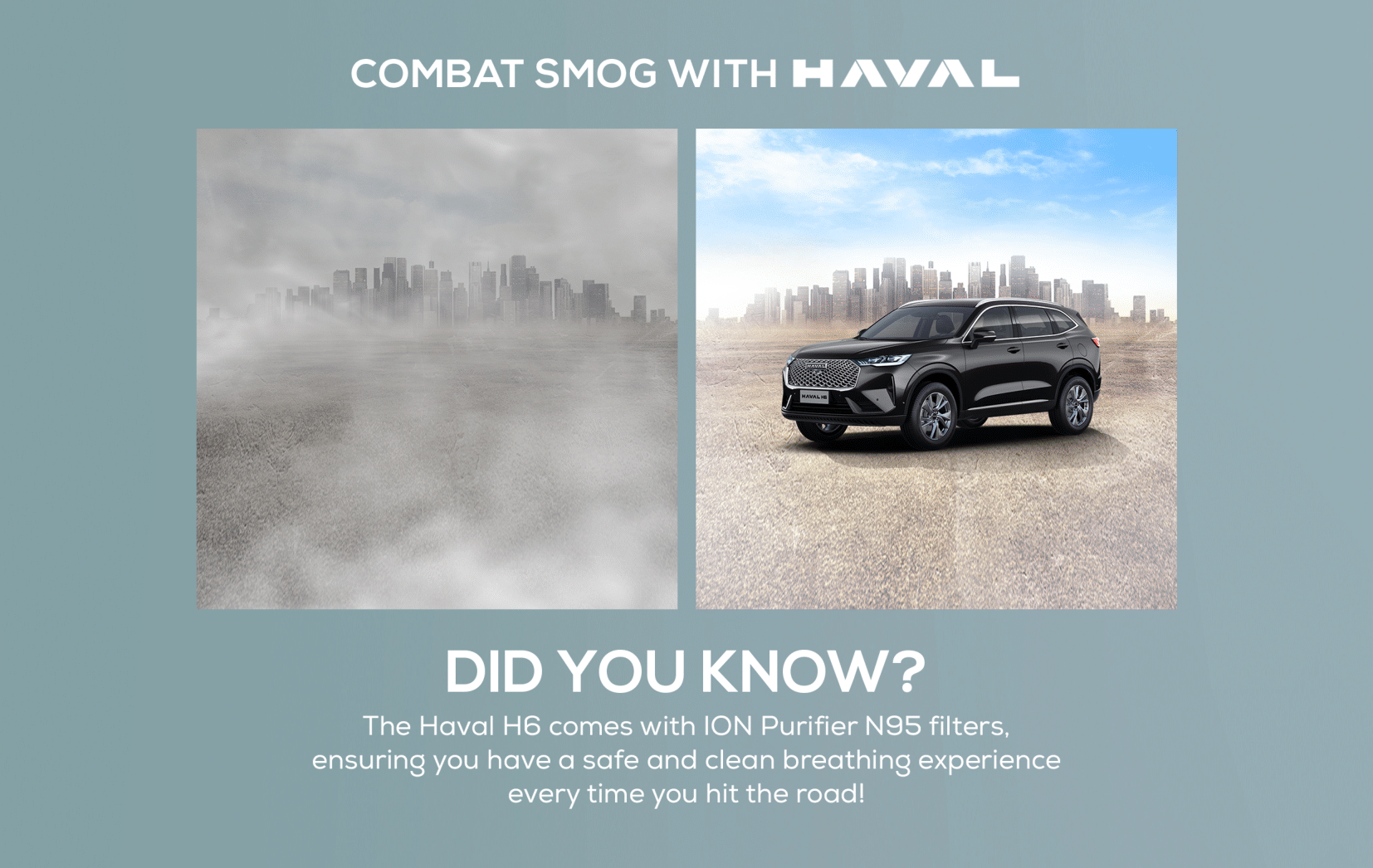 Newsletter December 2024 